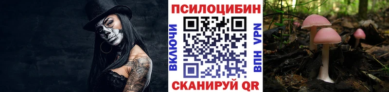 Псилоцибиновые грибы MAGIC MUSHROOMS  нарко площадка Telegram  Кандалакша 